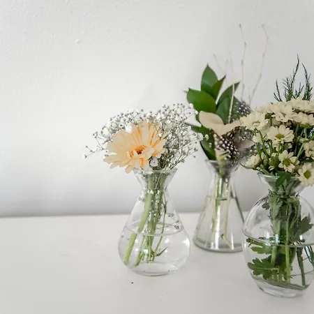 Apartman Brederode Studio's &