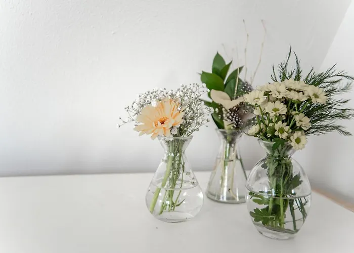 Lägenhet Brederode Studio's &